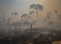 Fogo consome terras desmatadas e queimadas na Amazônia — Foto: Andre Penner/AP