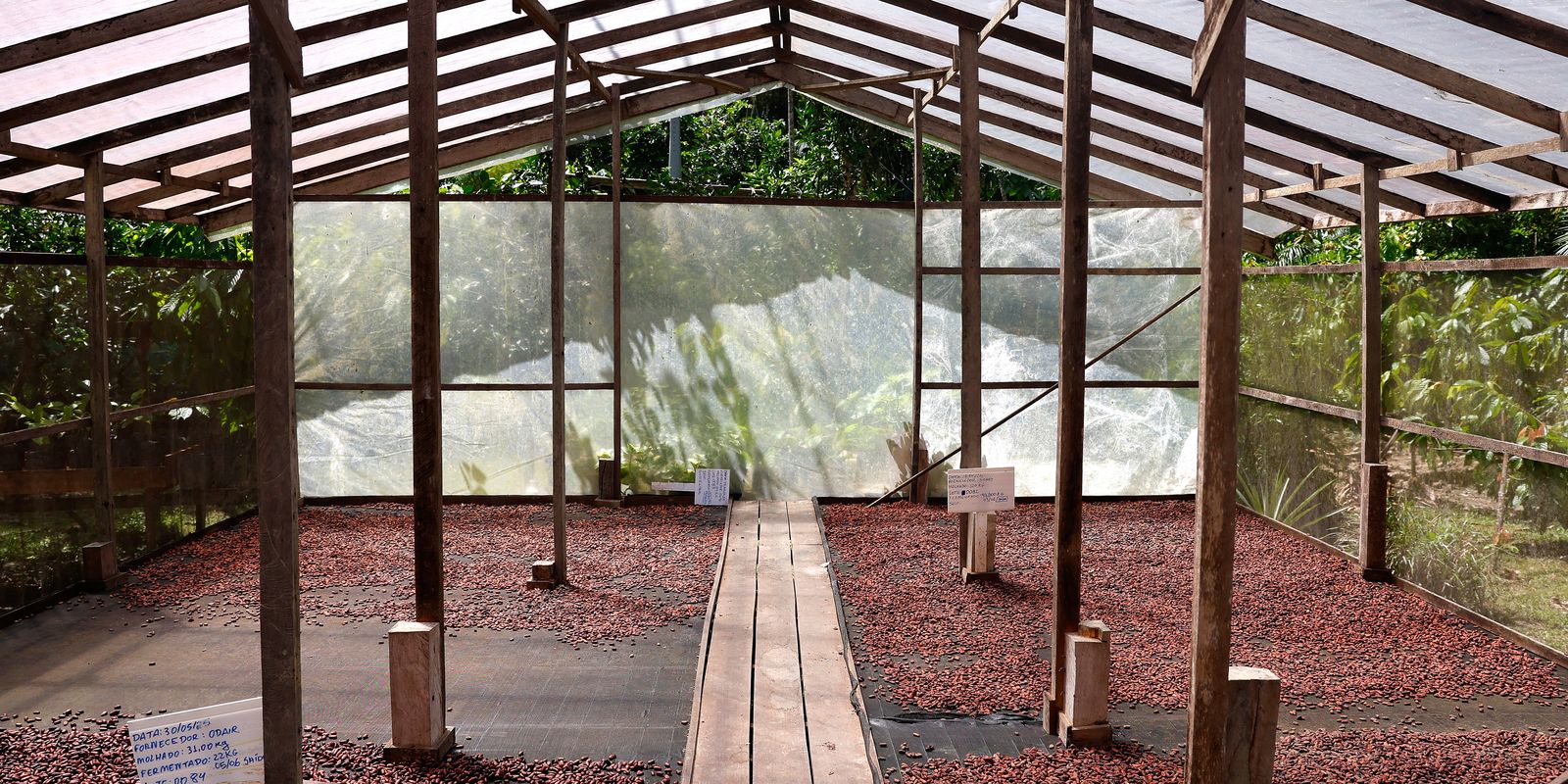 edital-seleciona-projetos-de-inovacao-no-amazonas,-para-e-rondonia